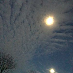 Meet your Posher, Isabella